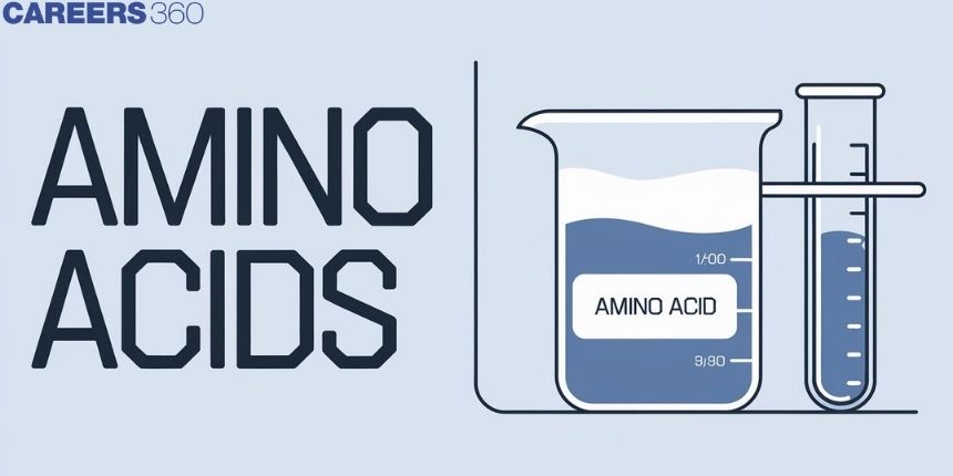 Amino Acids: Definition, Benefits, and Food Sources